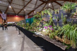 Exposition internationale d'orchidées GMPAO 2022